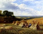 乔治 科尔 : Harvest Field